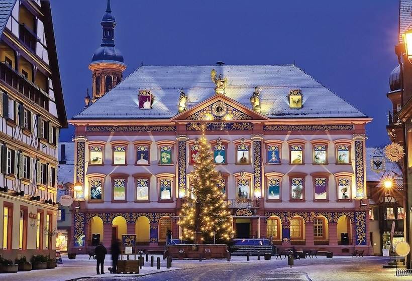 ホテル Holiday Inn Express   Offenburg, An Ihg