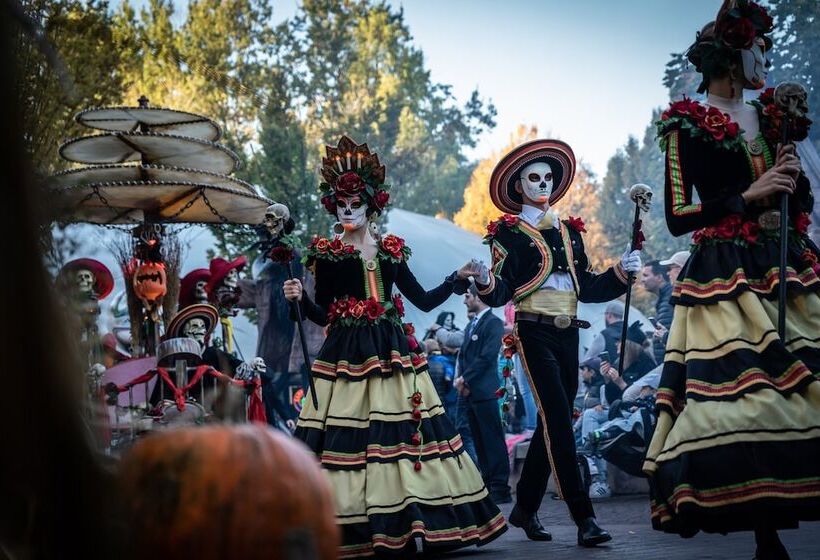 ホテル Holiday Inn Express   Offenburg, An Ihg