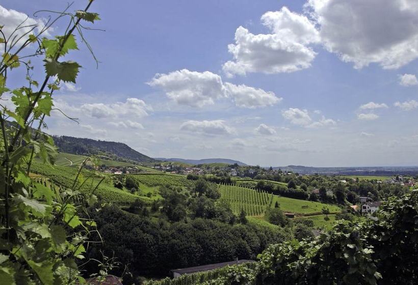 ホテル Holiday Inn Express   Offenburg, An Ihg