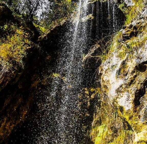 Отель Le Jorjane