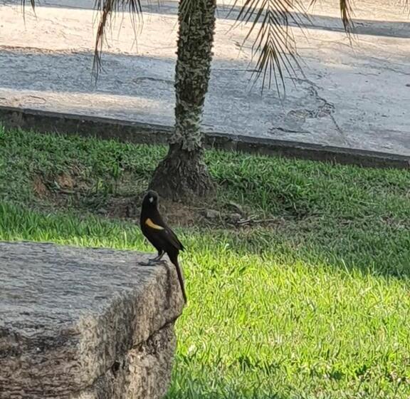 호텔 Pousada Recanto Da Lunane