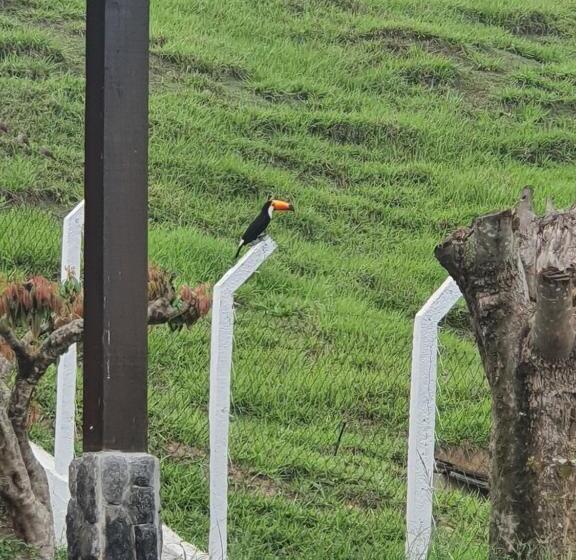 호텔 Pousada Recanto Da Lunane