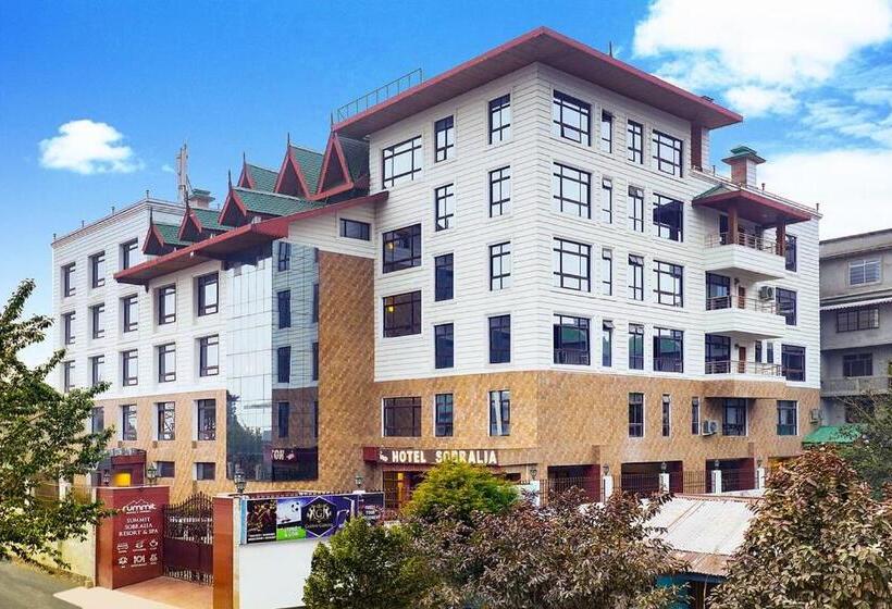 酒店 Sobralia Casino Resort & Spa