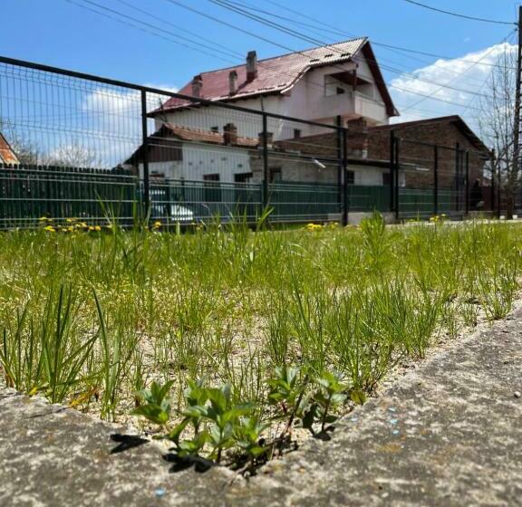 Пансион Casa șapte Din șapte