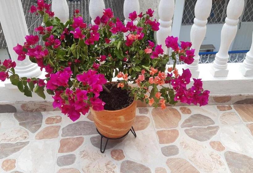 Пансион La Terraza Casa De Verano