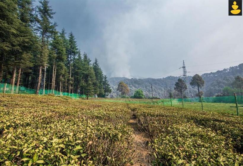 منتجع Livingstone Hilltop Cottage