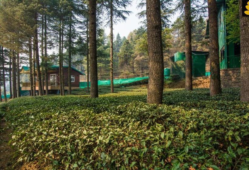 منتجع Livingstone Hilltop Cottage