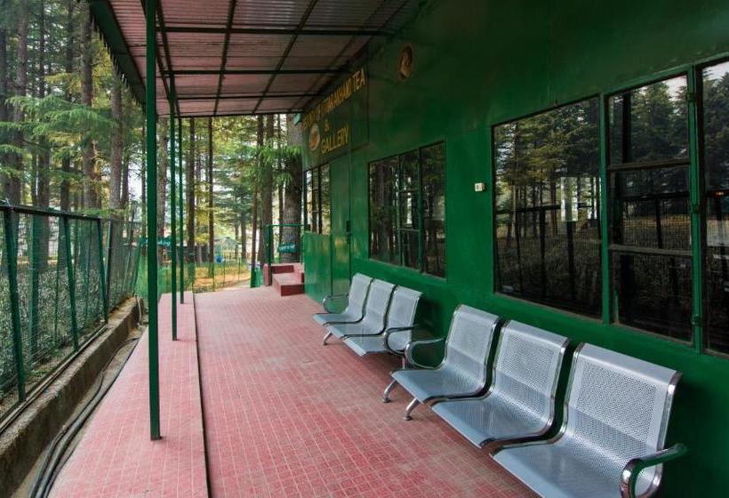 منتجع Livingstone Hilltop Cottage