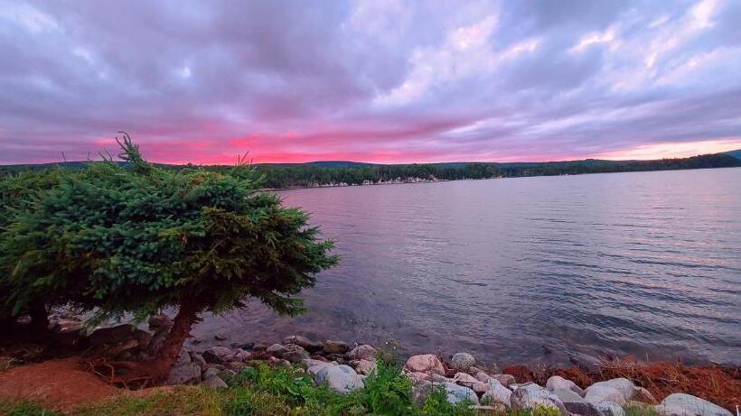 St Ann S Motel & Cottage