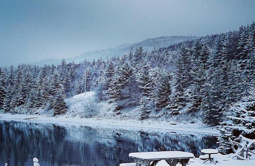 St Ann S Motel & Cottage