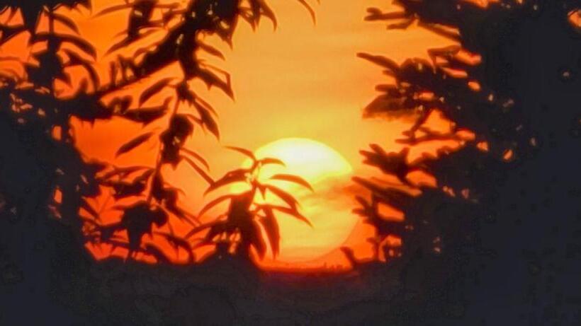 St Ann S Motel & Cottage