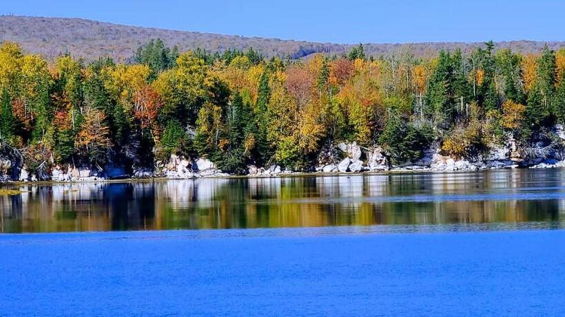 St Ann S Motel & Cottage