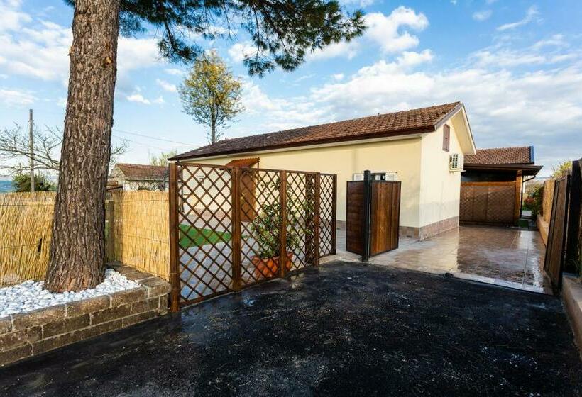 Bed and Breakfast All Ombra Del Pino