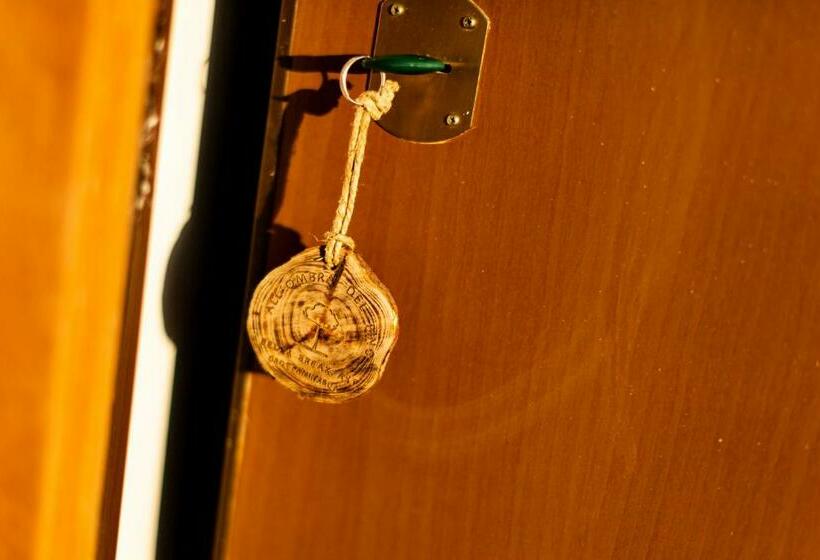 Bed and Breakfast All Ombra Del Pino