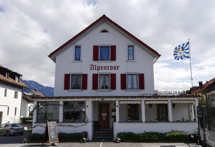 酒店 Alpenrose