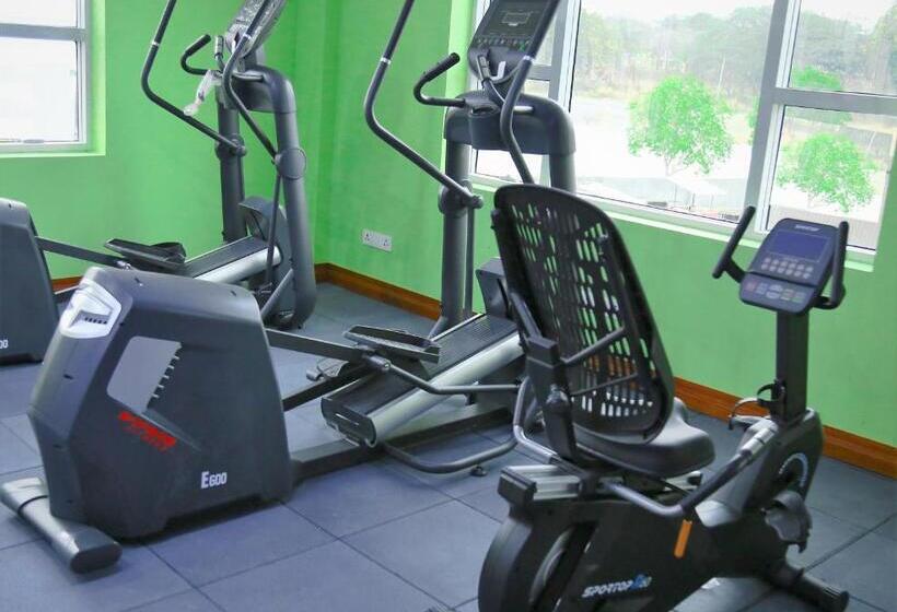 בית מלון כפרי Hills