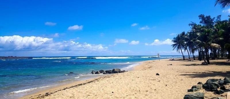 酒店 Puerto Valdes