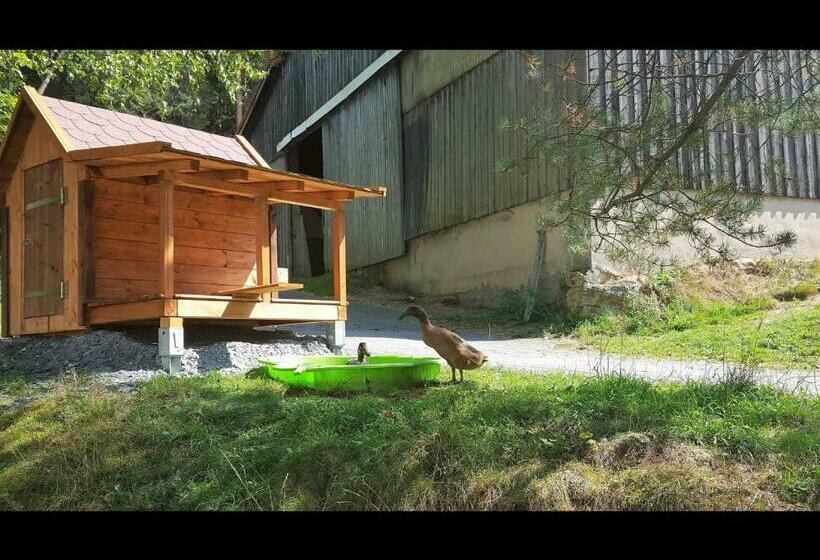 ホテル Reiterhof Finkenmühle Fewo Sancho