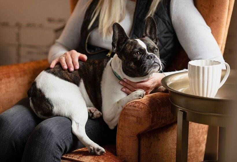 호텔 The Lodge At St Edward State Park