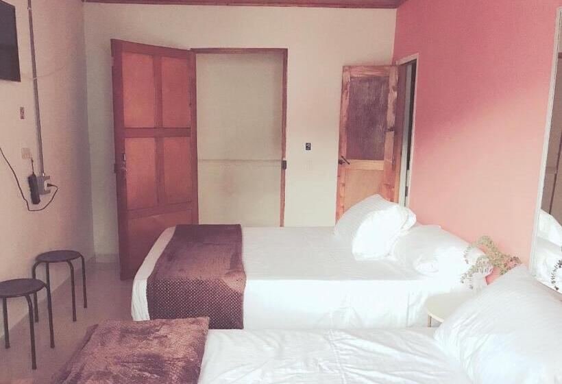 مبيت وإفطار Hospedaje Casa Rosa Jardín