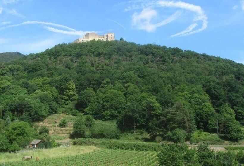 住宿加早餐 Weinhaus Paradies