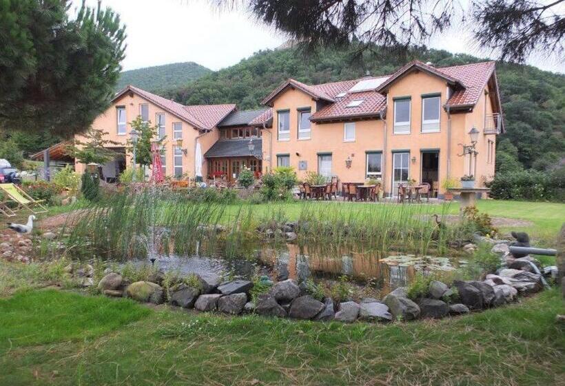 住宿加早餐 Weinhaus Paradies