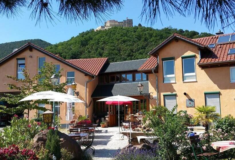 住宿加早餐 Weinhaus Paradies