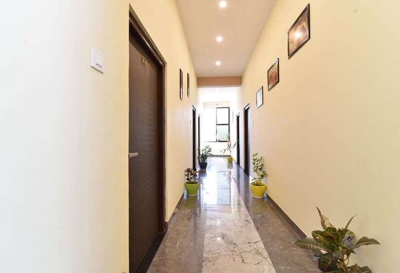 Отель Diva Pushkar