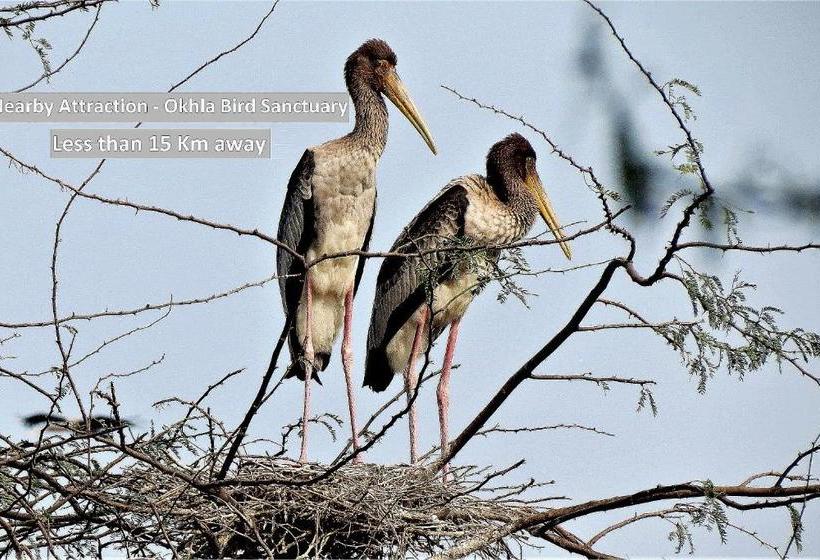 호텔 Oyo 78384 Expressway Hub