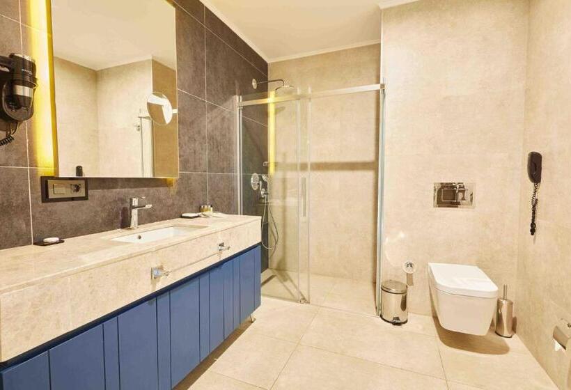 ホテル Park Dedeman Kastamonu