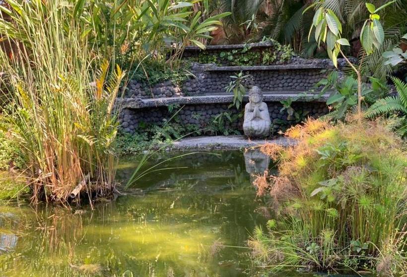 בית מלון כפרי Plaza