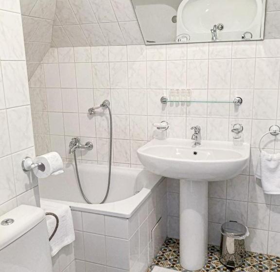 ホテル Salamander   Garni