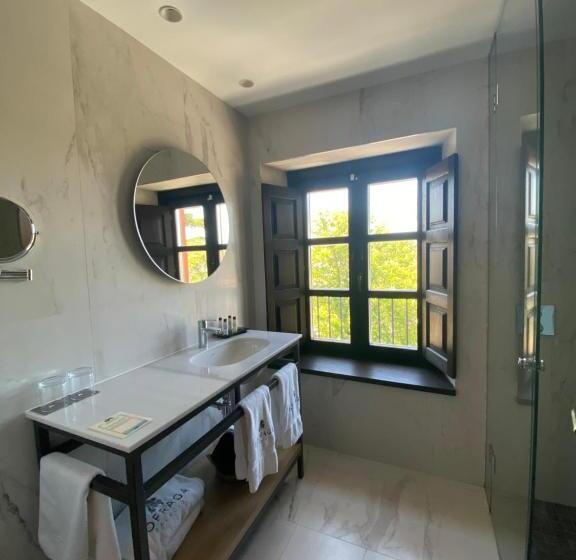 هتل Sofraga Palacio