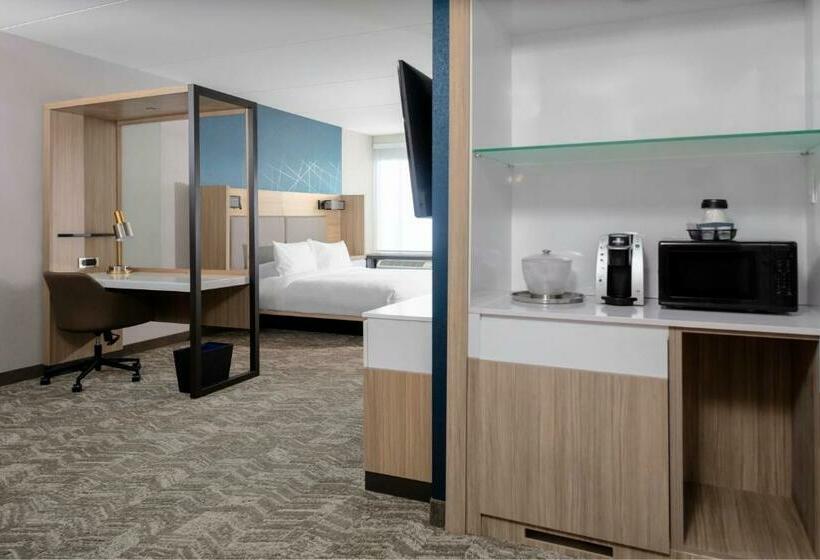 酒店 Springhill Suites By Marriott Durham City View