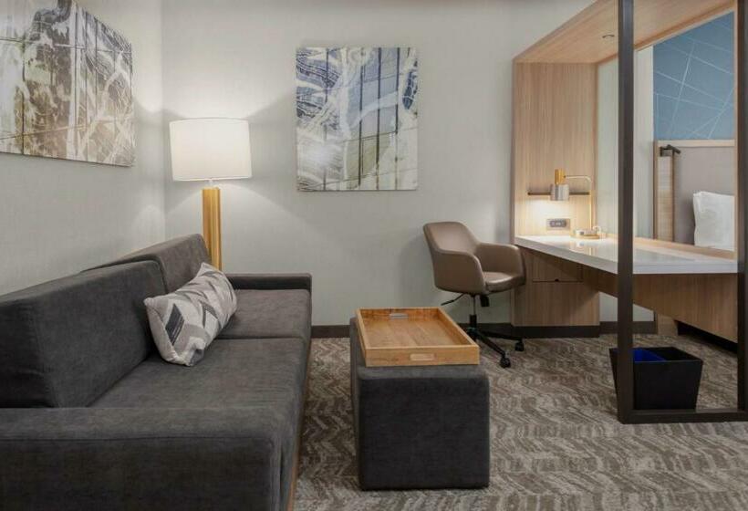 酒店 Springhill Suites By Marriott Durham City View