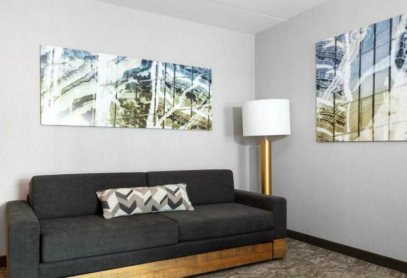 酒店 Springhill Suites By Marriott Durham City View