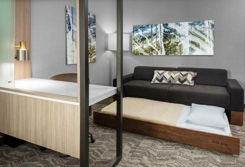 酒店 Springhill Suites By Marriott Durham City View