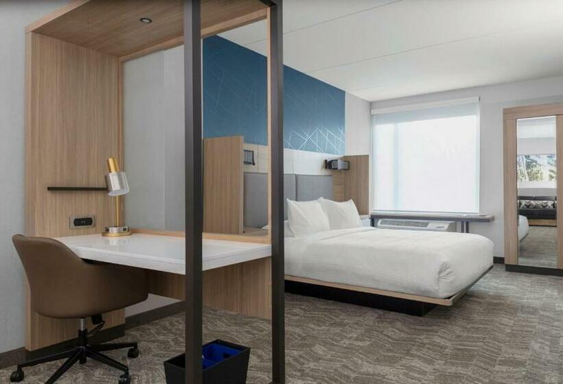 酒店 Springhill Suites By Marriott Durham City View