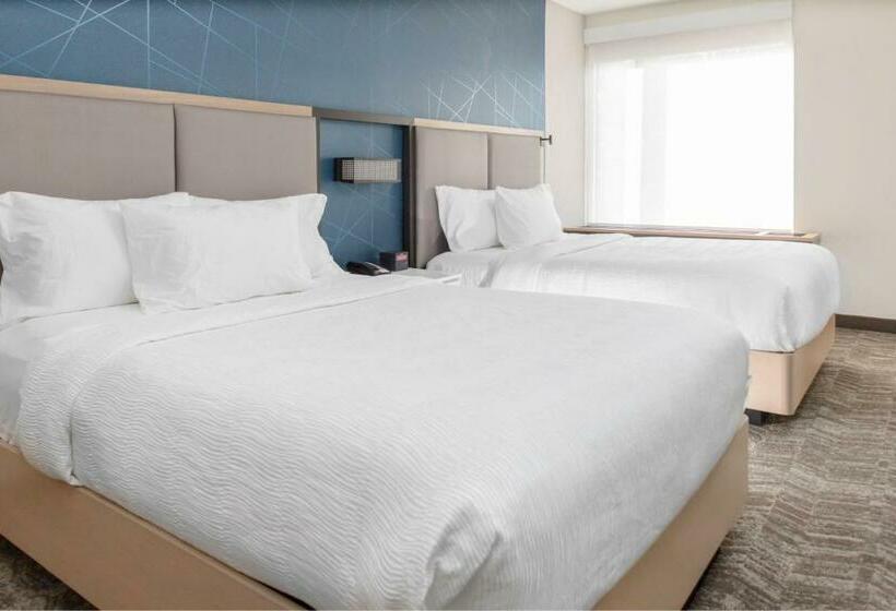 酒店 Springhill Suites By Marriott Durham City View