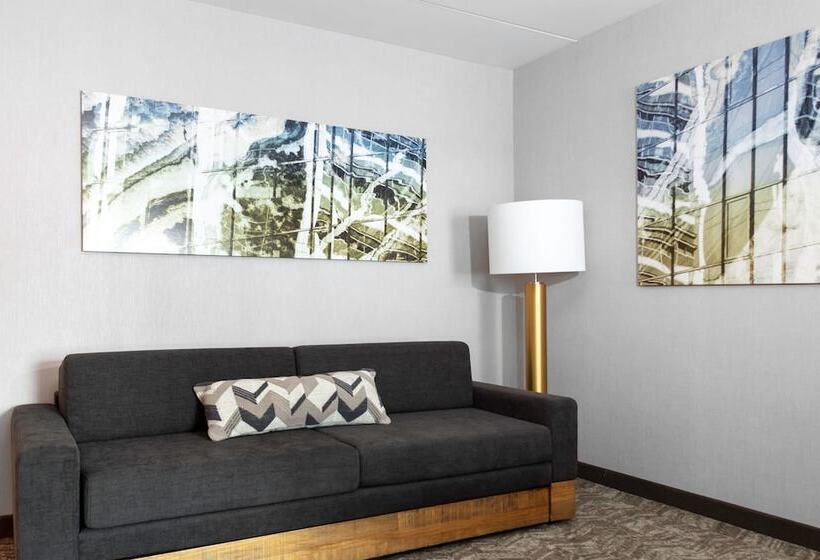 酒店 Springhill Suites By Marriott Durham City View