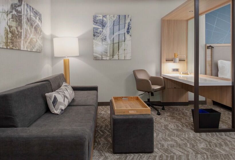 酒店 Springhill Suites By Marriott Durham City View