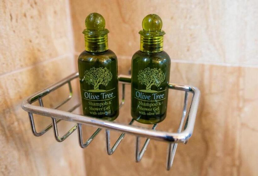 Отель Vila Mateus