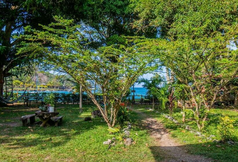 Пансион Casa Alma