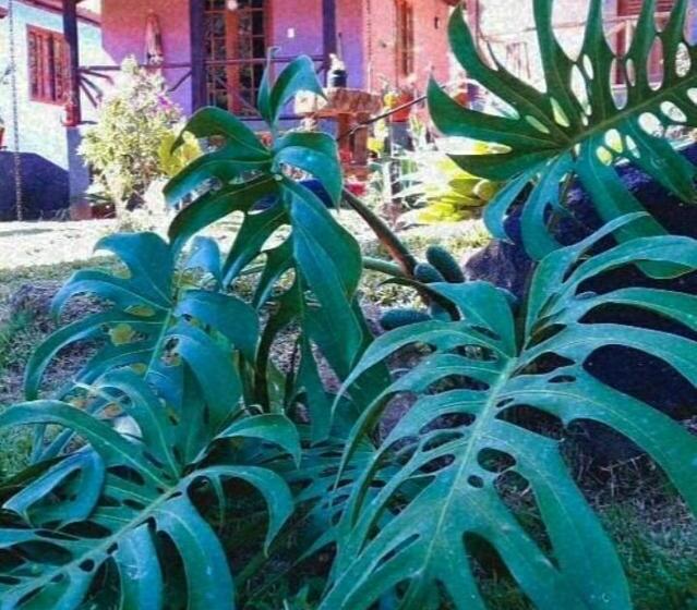 Пансион Chales Cantinho Nosso