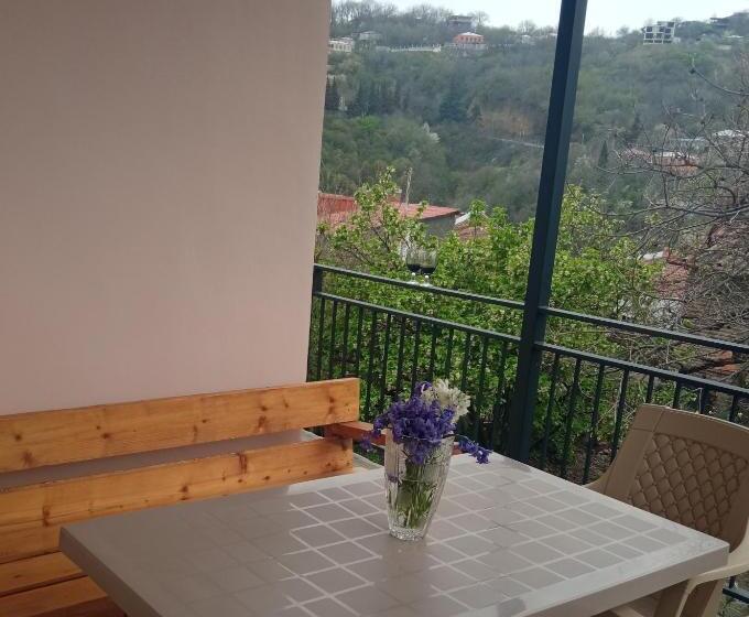 پانسیون Kizikis Kari