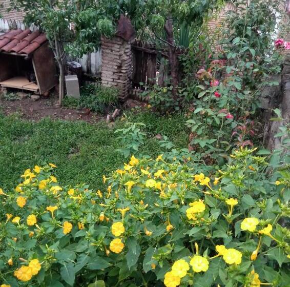 پانسیون Kizikis Kari