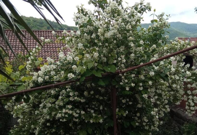 پانسیون Kizikis Kari