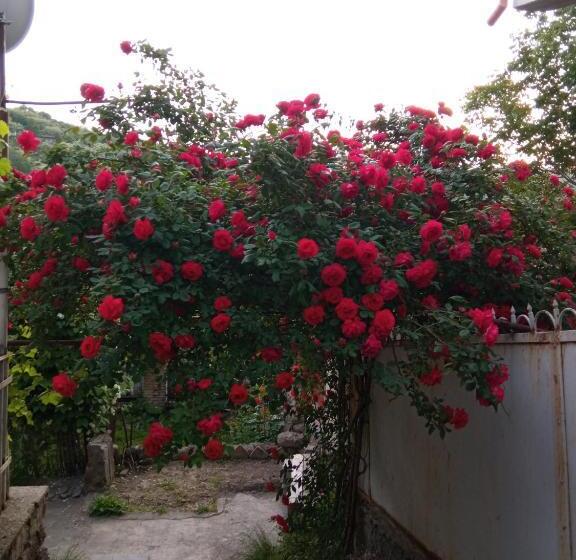 پانسیون Kizikis Kari