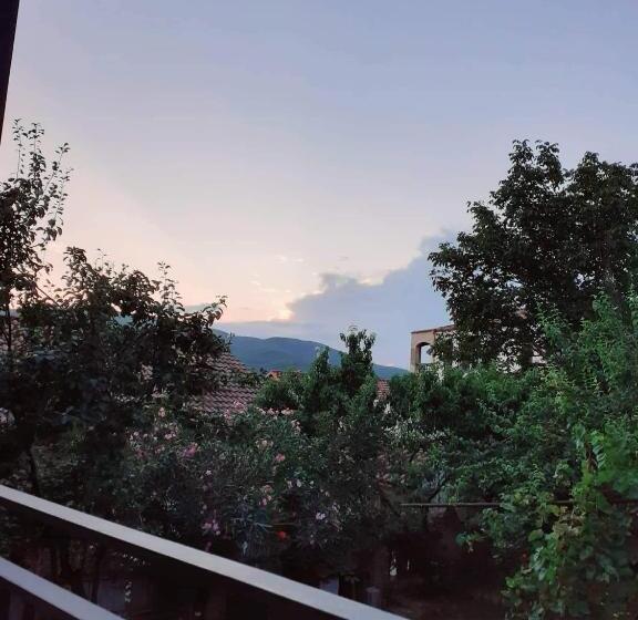 پانسیون Kizikis Kari