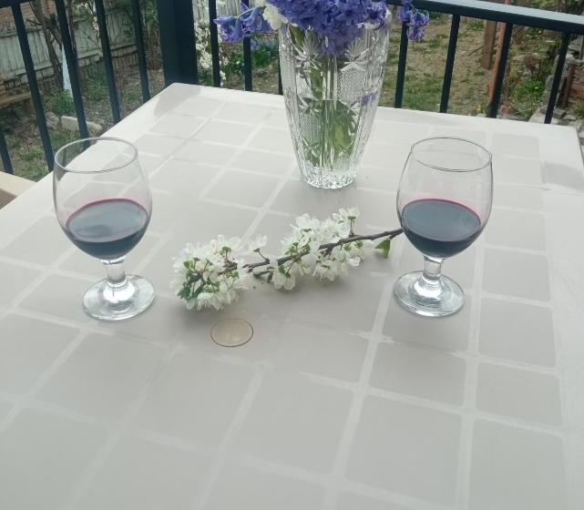 پانسیون Kizikis Kari